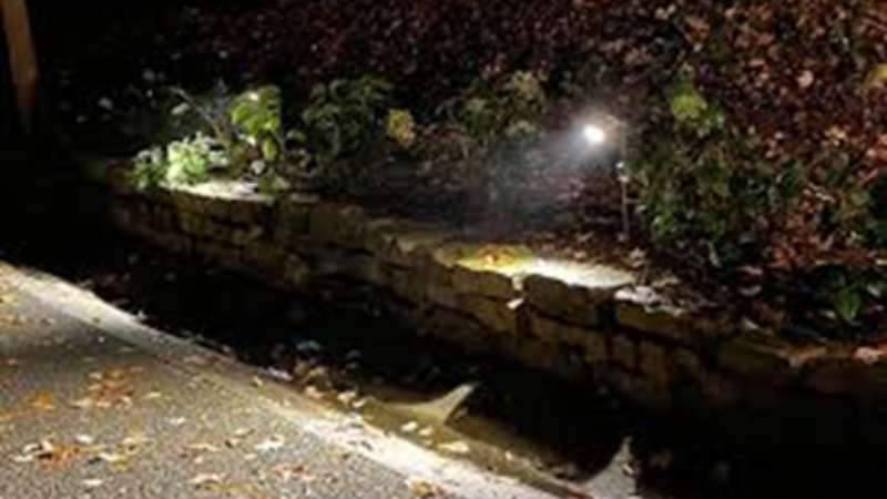 Outdoor accent lighting 