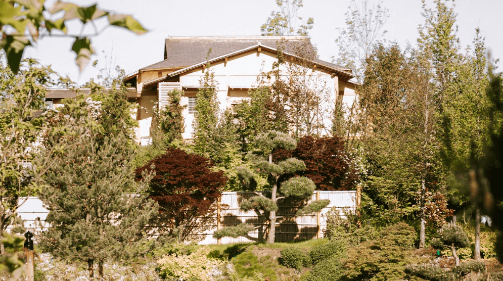 The side of a house covered by trees