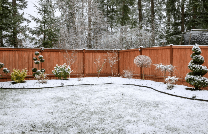 Lawn covered in snow