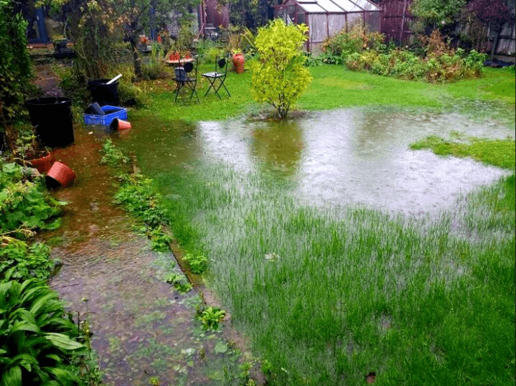 Flooded garden