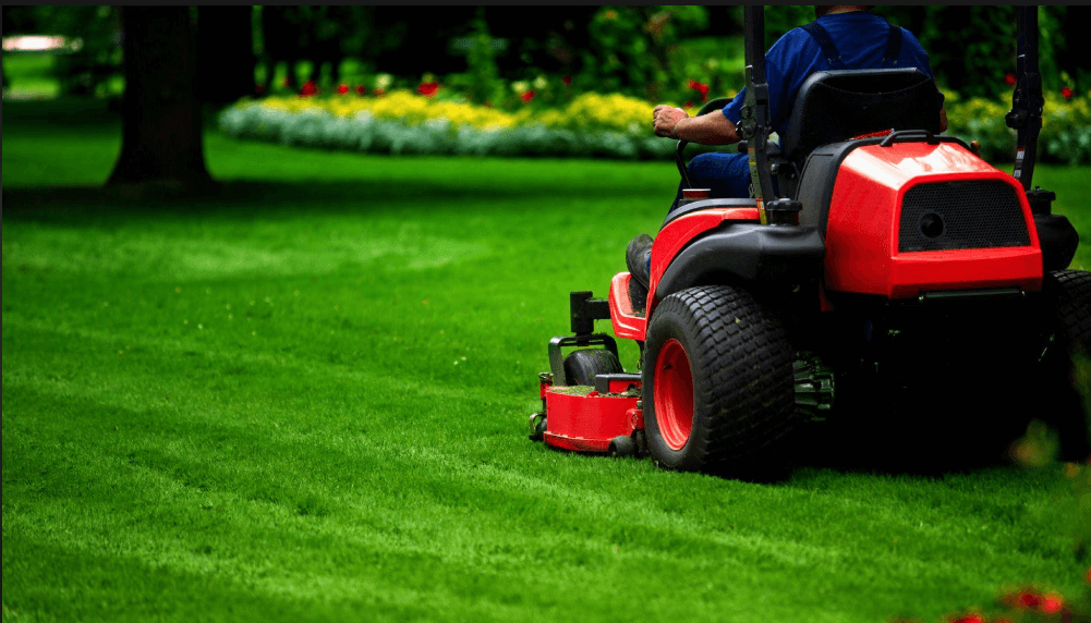Lawn mower on lush green grass