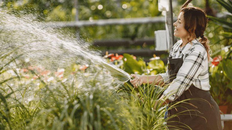 Pulizia Con Acqua Pura: Guida Per Principianti - Foto 8